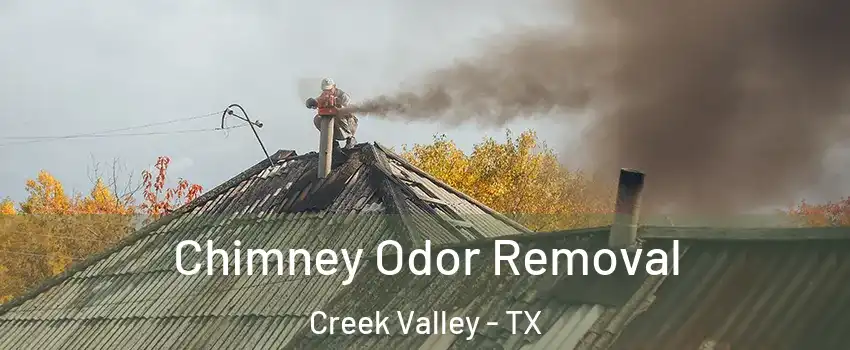 Chimney Odor Removal Creek Valley - TX
