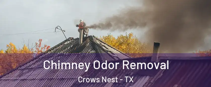 Chimney Odor Removal Crows Nest - TX