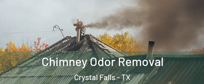 Chimney Odor Removal Crystal Falls - TX
