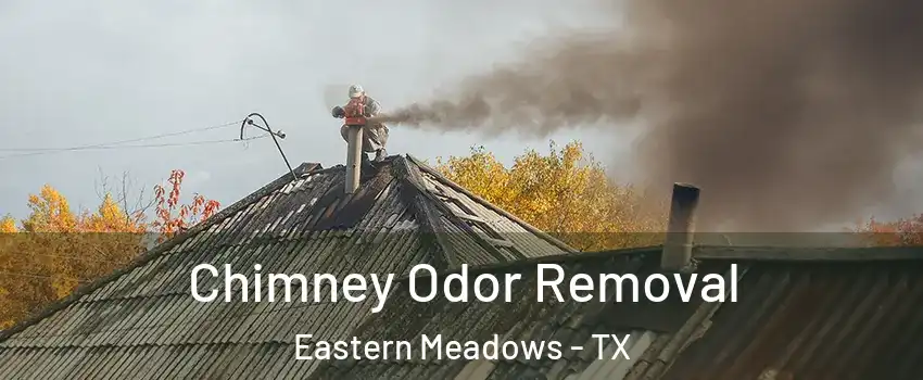 Chimney Odor Removal Eastern Meadows - TX