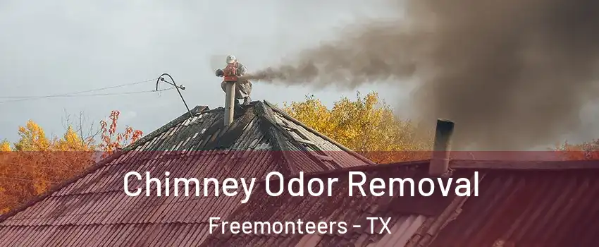 Chimney Odor Removal Freemonteers - TX