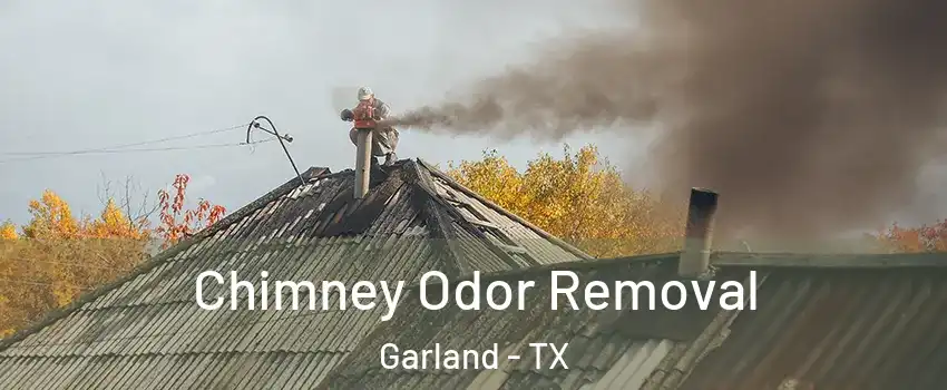 Chimney Odor Removal Garland - TX