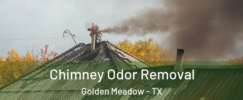 Chimney Odor Removal Golden Meadow - TX