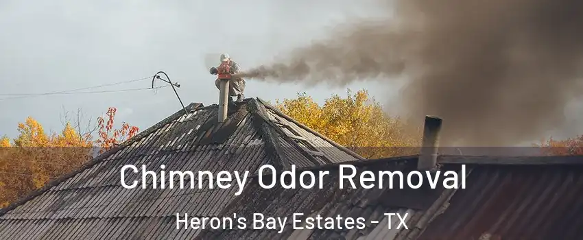 Chimney Odor Removal Heron's Bay Estates - TX