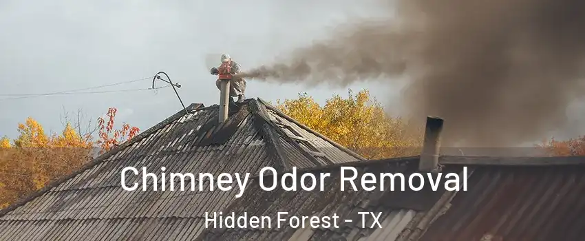 Chimney Odor Removal Hidden Forest - TX