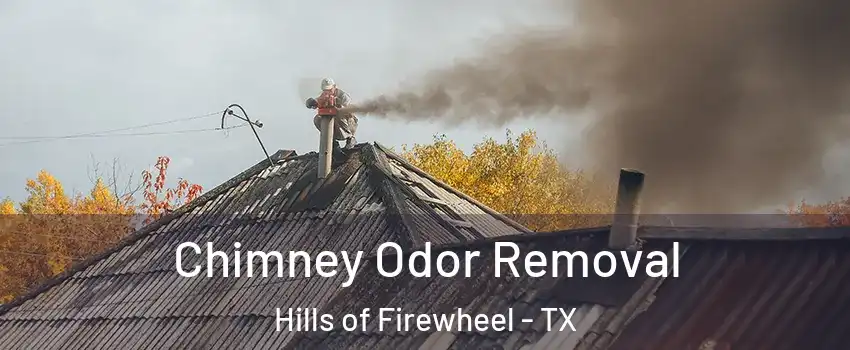 Chimney Odor Removal Hills of Firewheel - TX
