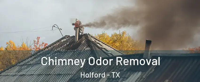 Chimney Odor Removal Holford - TX