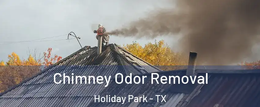Chimney Odor Removal Holiday Park - TX
