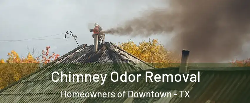 Chimney Odor Removal Homeowners of Downtown - TX