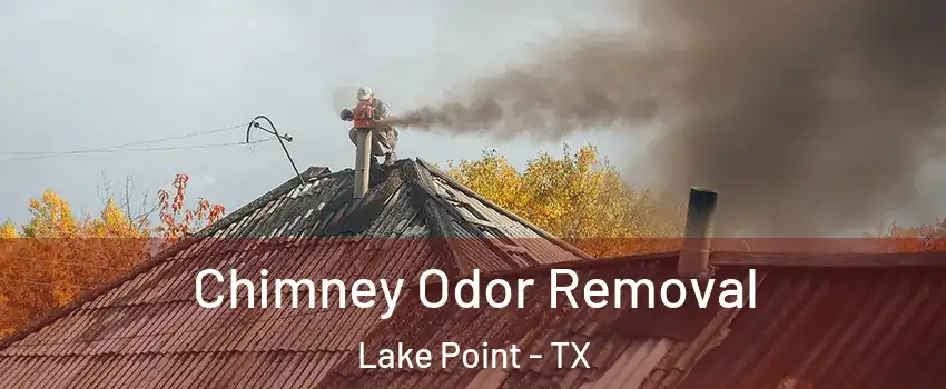 Chimney Odor Removal Lake Point - TX