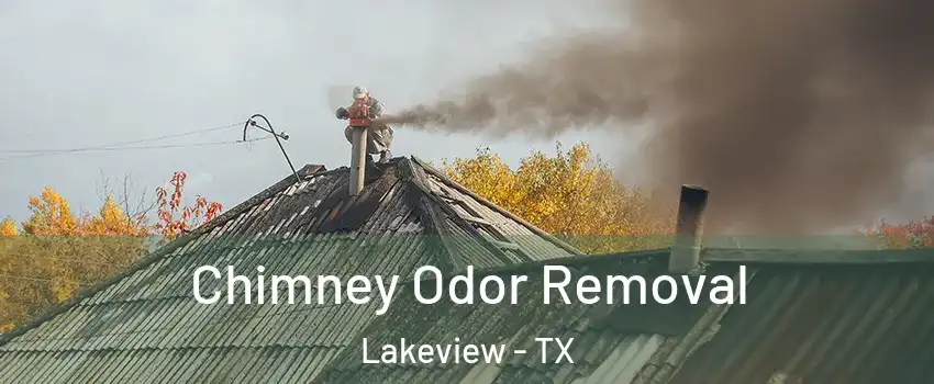 Chimney Odor Removal Lakeview - TX