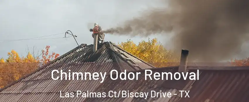 Chimney Odor Removal Las Palmas Ct/Biscay Drive - TX