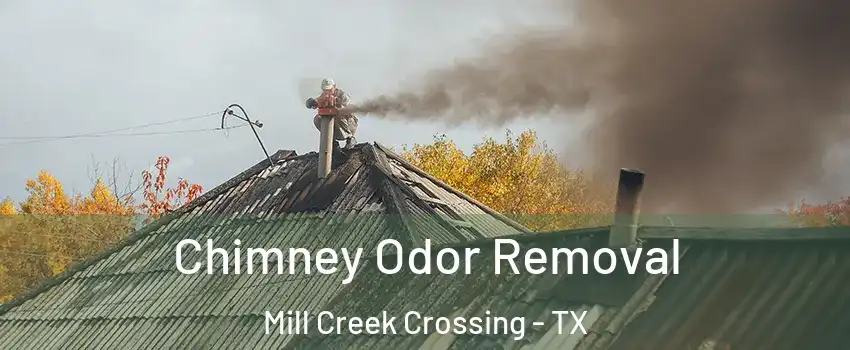 Chimney Odor Removal Mill Creek Crossing - TX