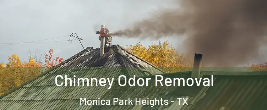 Chimney Odor Removal Monica Park Heights - TX