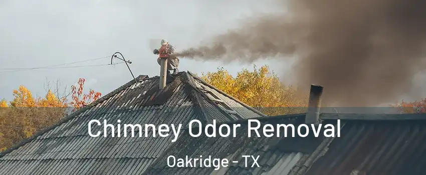 Chimney Odor Removal Oakridge - TX