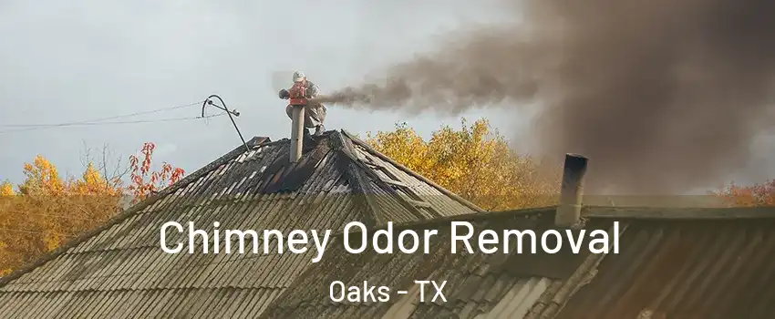 Chimney Odor Removal Oaks - TX