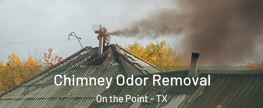 Chimney Odor Removal On the Point - TX