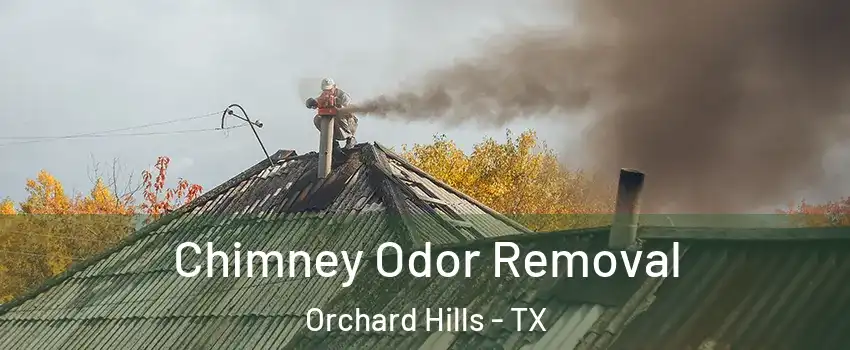 Chimney Odor Removal Orchard Hills - TX