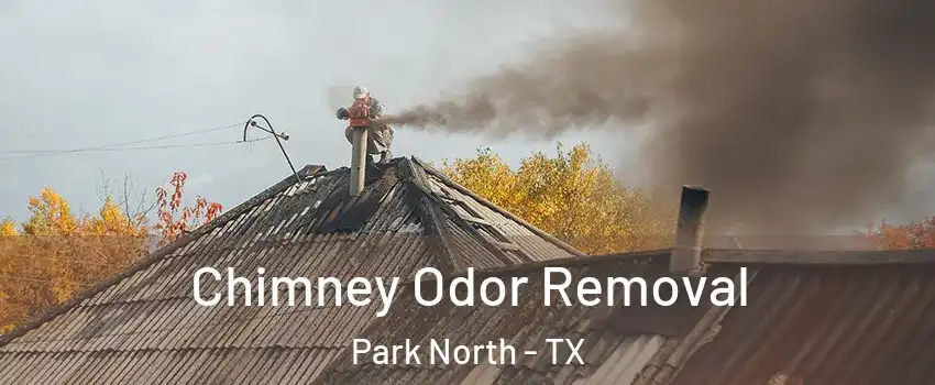 Chimney Odor Removal Park North - TX