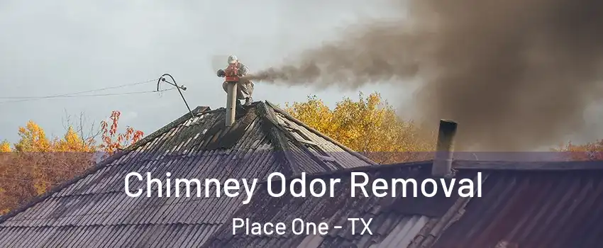 Chimney Odor Removal Place One - TX