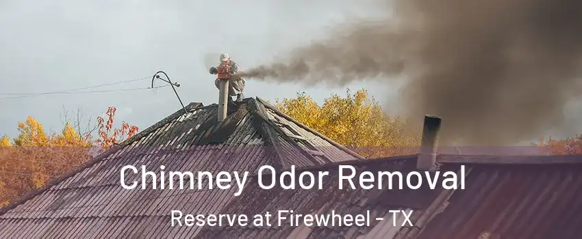 Chimney Odor Removal Reserve at Firewheel - TX