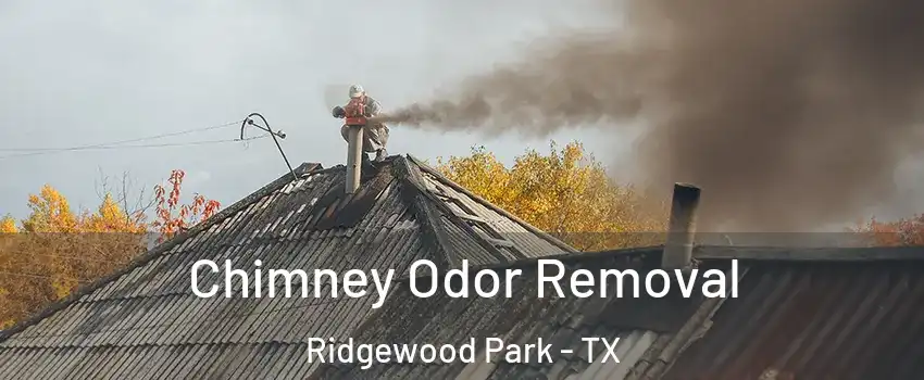 Chimney Odor Removal Ridgewood Park - TX