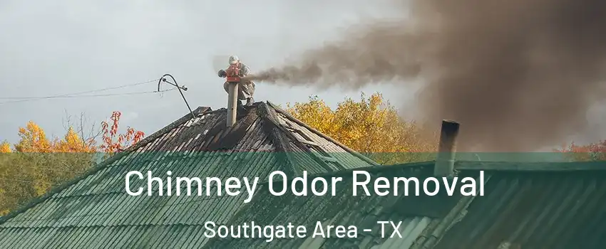 Chimney Odor Removal Southgate Area - TX