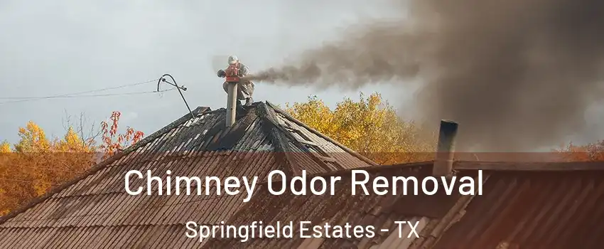 Chimney Odor Removal Springfield Estates - TX