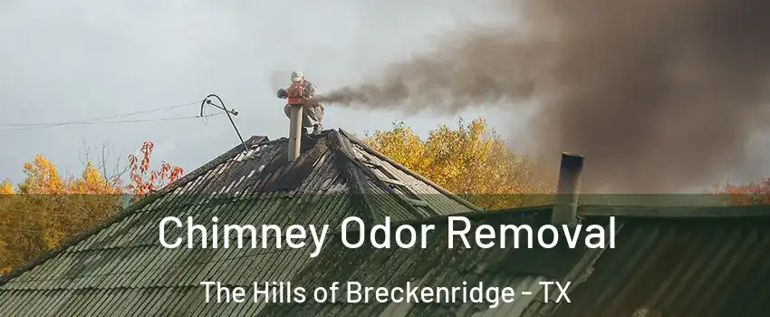Chimney Odor Removal The Hills of Breckenridge - TX