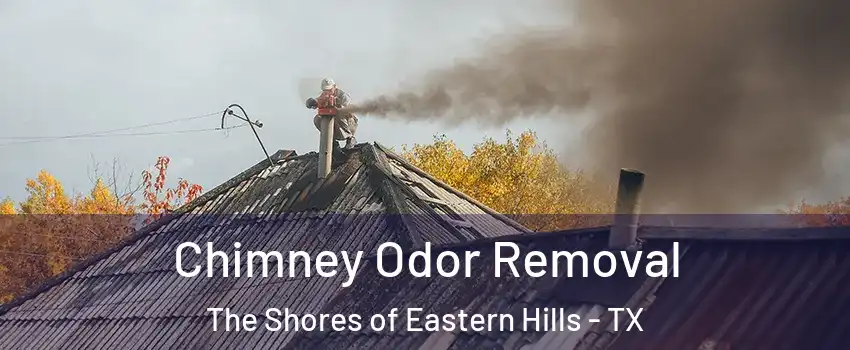 Chimney Odor Removal The Shores of Eastern Hills - TX
