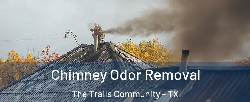 Chimney Odor Removal The Trails Community - TX