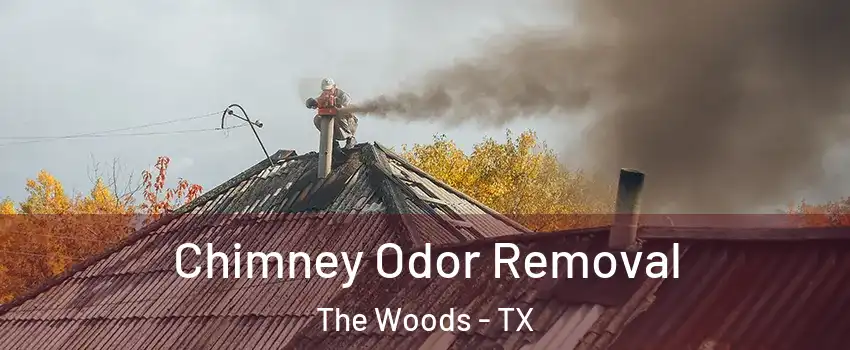 Chimney Odor Removal The Woods - TX