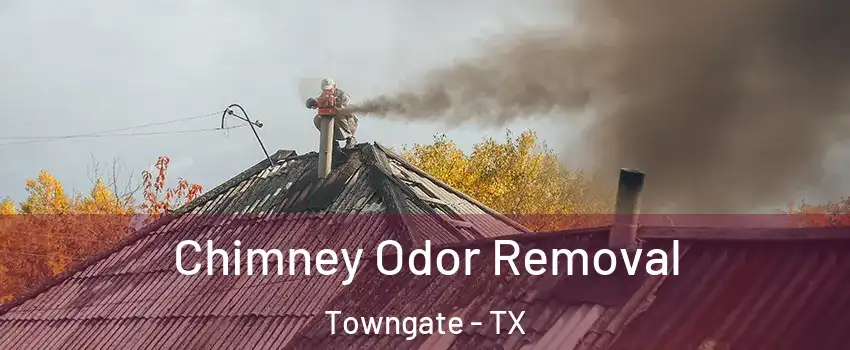 Chimney Odor Removal Towngate - TX