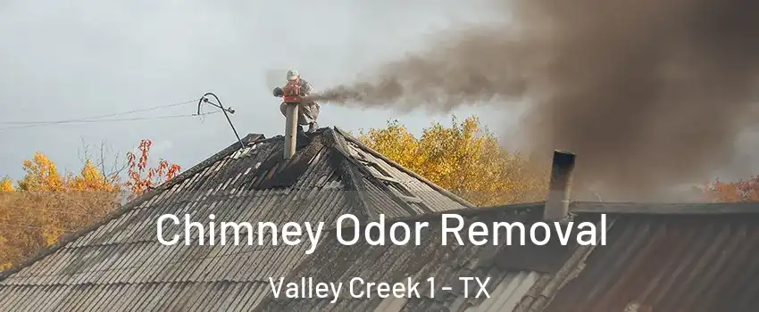 Chimney Odor Removal Valley Creek 1 - TX
