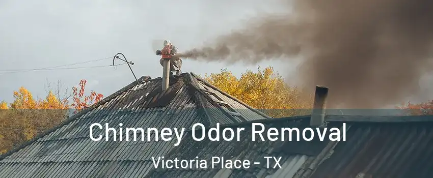 Chimney Odor Removal Victoria Place - TX