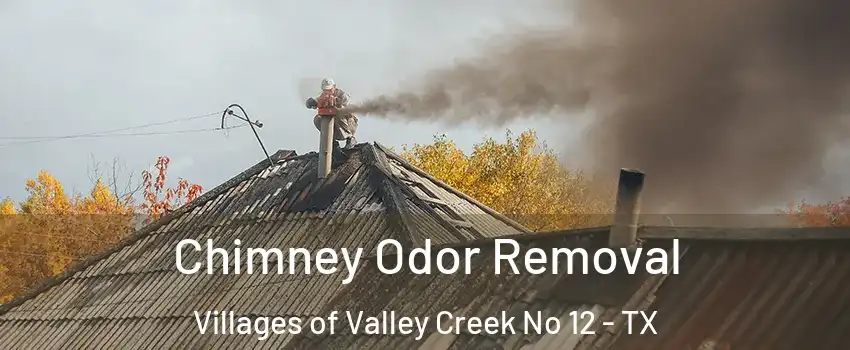 Chimney Odor Removal Villages of Valley Creek No 12 - TX