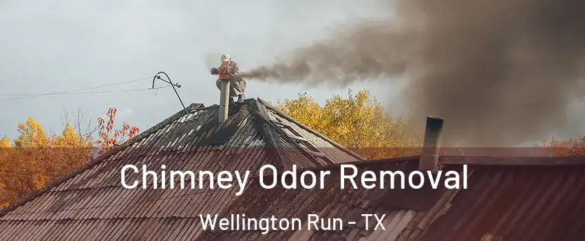 Chimney Odor Removal Wellington Run - TX