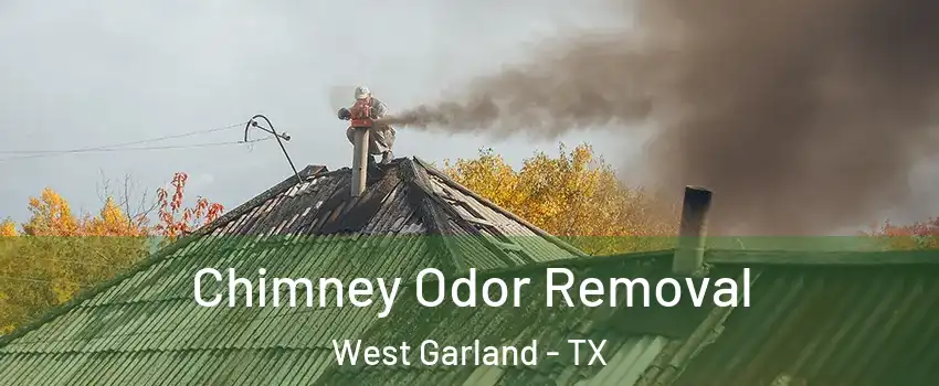 Chimney Odor Removal West Garland - TX