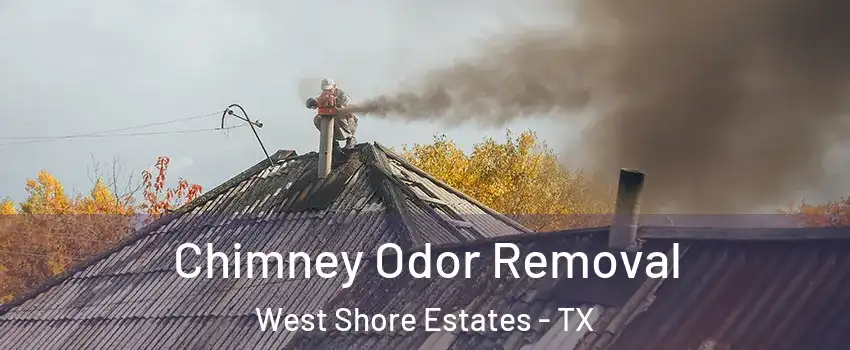 Chimney Odor Removal West Shore Estates - TX