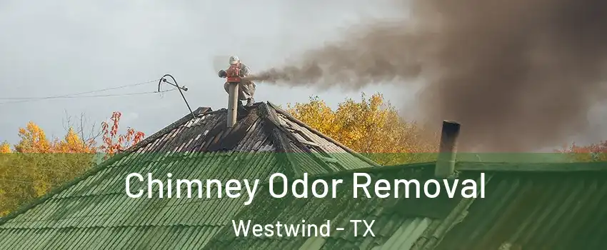 Chimney Odor Removal Westwind - TX
