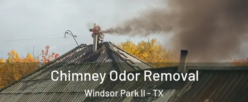 Chimney Odor Removal Windsor Park II - TX