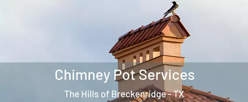 Chimney Pot Services The Hills of Breckenridge - TX