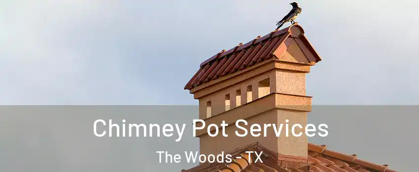 Chimney Pot Services The Woods - TX