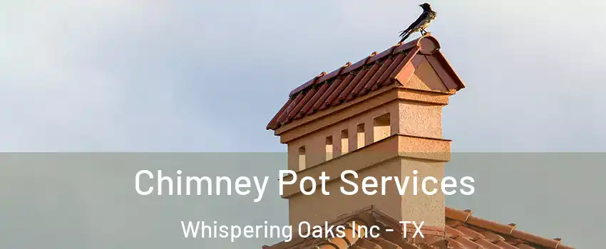 Chimney Pot Services Whispering Oaks Inc - TX