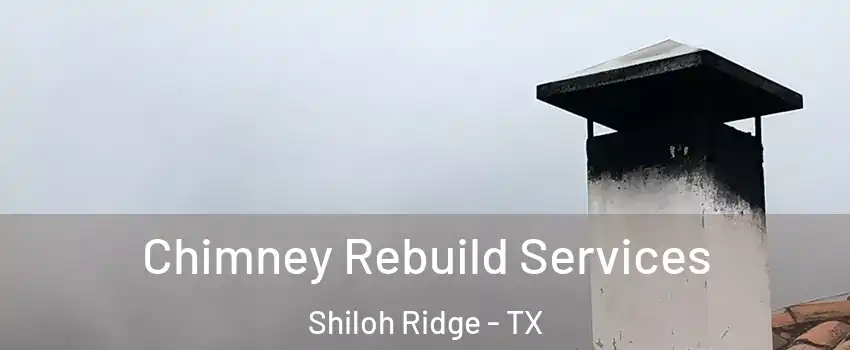 Chimney Rebuild Services Shiloh Ridge - TX