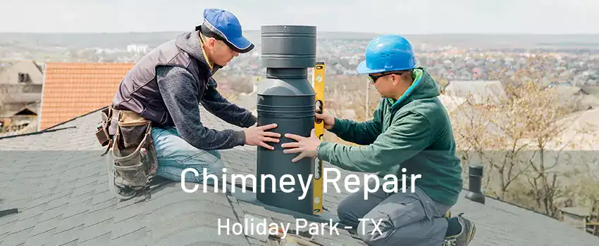 Chimney Repair Holiday Park - TX