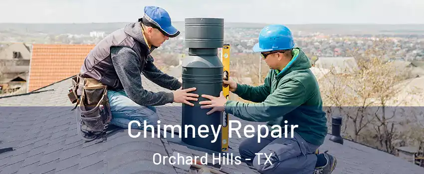 Chimney Repair Orchard Hills - TX
