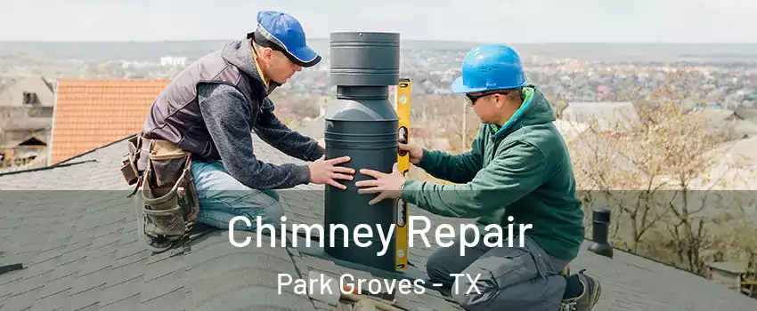Chimney Repair Park Groves - TX