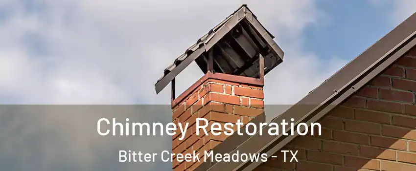 Chimney Restoration Bitter Creek Meadows - TX