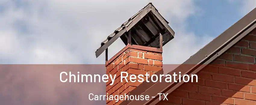 Chimney Restoration Carriagehouse - TX